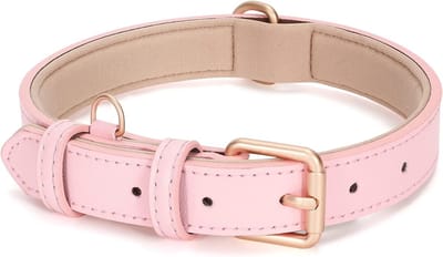 Halsband voor honden, klassieke stijl, zacht, ademend en waterdicht (S)