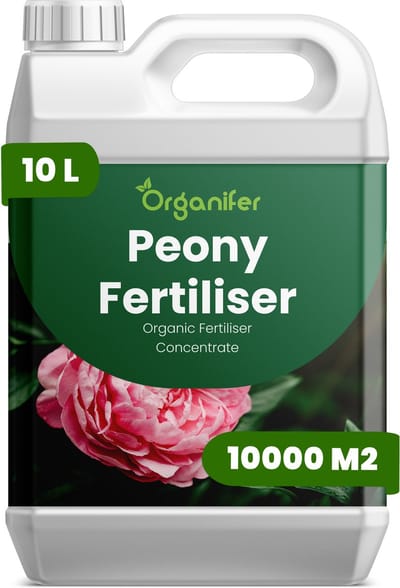 Vloeibare Meststof Voor Pioenen 10 L Voor 10000 M2 - Npk 2-1-8 - Ondersteunt Een Krachtige Opkomst In Het Voorjaar En Een Sterke Vroege Groei - Versterkt De Knopvorming Voor Grotere Vollere Bloemen - Organifer