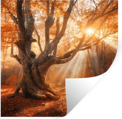 Muurstickers - Sticker Folie - Boom - Natuur - Herfst - 100x100 cm - Plakfolie - Muurstickers Kinderkamer - Zelfklevend Behang XXL - Zelfklevend behangpapier - Stickerfolie