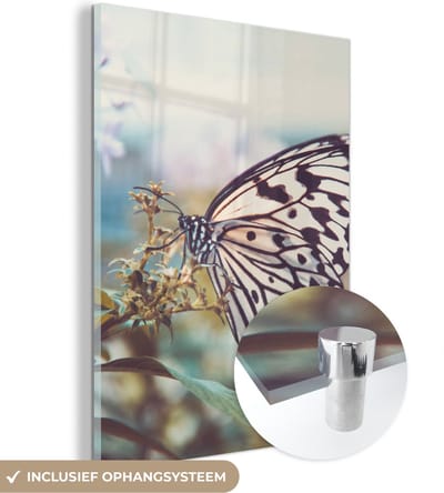 MuchoWow® Glasschilderij 30x40 cm - Schilderij acrylglas - Vlinder - Bloemen - Lente - Foto op glas - Schilderijen