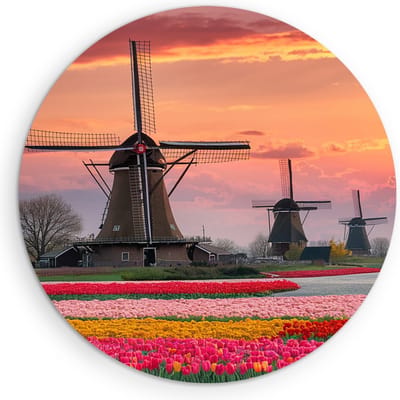 Saammp Muurcirkel Hout - Molens met Tulpenvelden - Natuur - Ø 90 - Wandcirkel - Wanddecoratie Cirkel - Muurdecoratie Woonkamer - Slaapkamer decoratie - Rond Schilderij