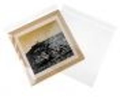 Plastic Zakken 31,6x31,1cm Transparant en Hersluitbaar (100 stuks) | Plastic zak