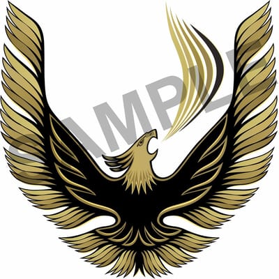 Pontiac Turbo Transam 1978-1981 Zijstickers Firebird replika goud look