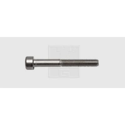 SWG 4009146506175 Inbusschroeven M5 40 mm Binnenzeskant (inbus) DIN 912 RVS A2 50 stuk(s)