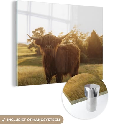 MuchoWow® Glasschilderij 160x120 cm - Schilderij acrylglas - Schotse hooglander - Gras - Zon - Foto op glas - Schilderijen