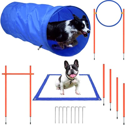 Behendigheidsapparatuur voor honden, groot en klein, hondentrainingsspellen, behendigheidsset met hondentunnel, hindernissen, slalompalen, springring, rustplaats en draagtas, accessoires voor hondenparcours NAIZY