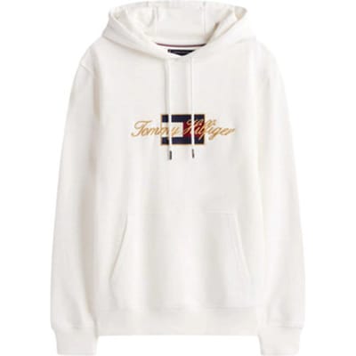 Capuchon sweaters Tommy Hilfiger MW0MW41502
