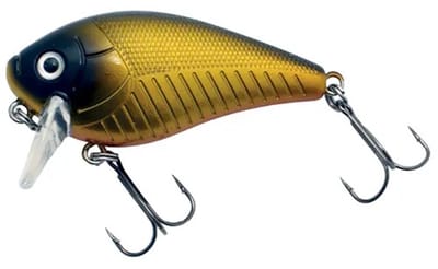 Predox XS-Pro Mach1 SSR 6CM 9g - drijvende plug met realistische actie en holografische afwerking Golden Dawn