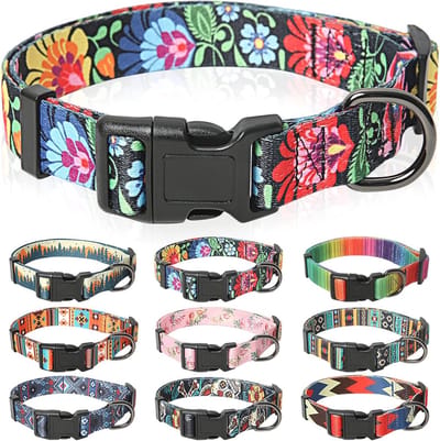 Verstelbare Hondenhalsband met Uniek Patroon voor Comfortabel Wandelen en Training