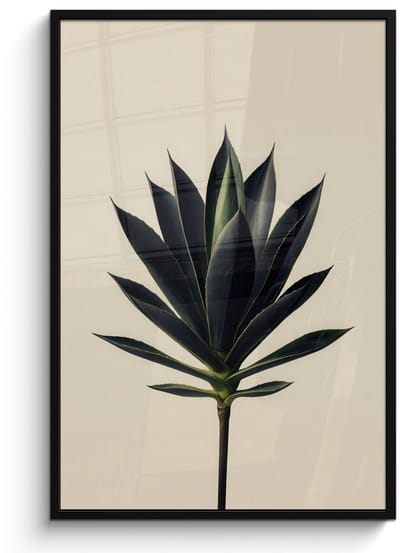 Poster in lijst - Fotolijst 80x120 cm - Posters - Agaveplant - Symmetrisch - Groen - Posterlijst zwart - Decoratie - Wanddecoratie woonkamer - Muurdecoratie slaapkamer