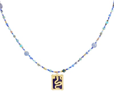Ketting snake story