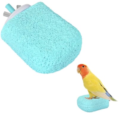 Dailygoods- Vogelbek Slijpsteen Antislip - Vogelzitsteen Standaard - IJsmodel voor Papegaaien - Geschikt voor Valkparkieten - Snelle Installatie - Meerdere Toepassingen - Zitstok