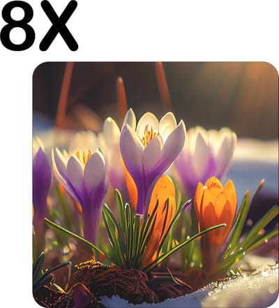 Luxe Placemat - De Eerste Krokus Bloemen van het Seizoen - Set van 8 Placemats - 50x50 cm - 2 mm dik Vinyl - Anti Slip - Afneembaar