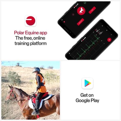 Paarden Hartslagmeter - Gezondheidsmonitor - Prestatie Analyse - Snelle Meting - Één Maat - Zwart