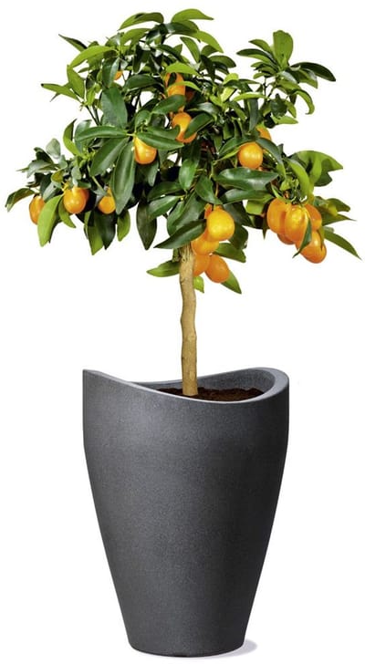 Wave Globe High Plantenbak van kunststof, zwart-graniet, 29,8 cm diameter, 40 cm hoog, 6 l vol.