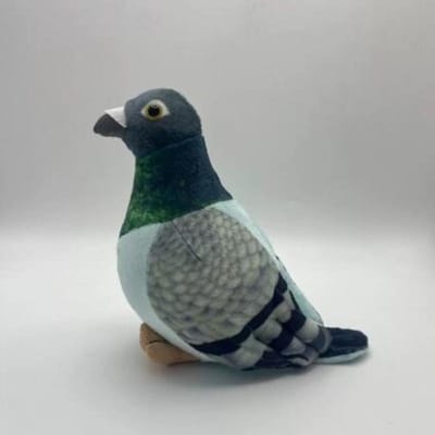 20cm Kawaii Gesimuleerde Grijze Duif Pluche Speelgoed Schattige Zachte Knuffeldieren Pluche Duif Vogelpop Collectie Model Cadeaus Huisdecoratie 20cm