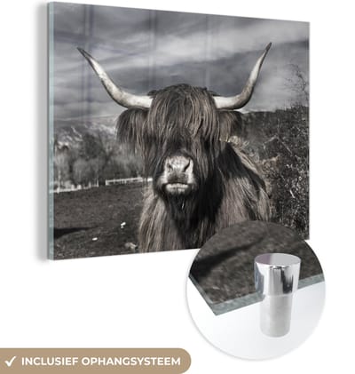 MuchoWow® Glasschilderij 160x120 cm - Schilderij acrylglas - Schotse Hooglander - Dieren - Hoorns - Foto op glas - Schilderijen