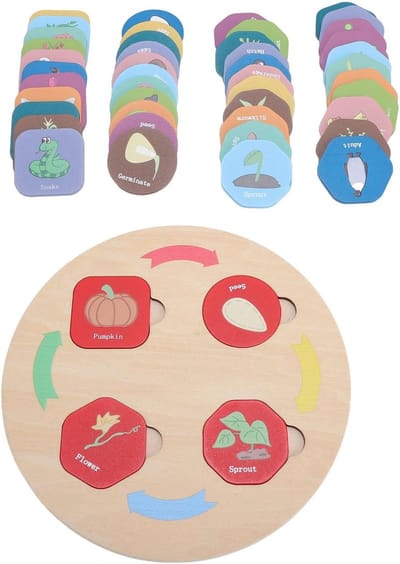 Houten Speelgoedbak - Educatief Bakje - Organiseren Leren - Levenscyclus Figuren - 18 cm Bak - Natuurlijk Hout