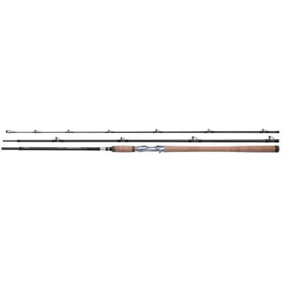 Shimano Fishing Speedmaster Salmon Cast Bodemvissen Hengel Zilver 3.76 m / 50-120 g