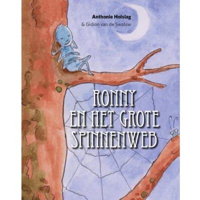 Ronny En Het Grote Spinnenweb - Anthonie Holslag