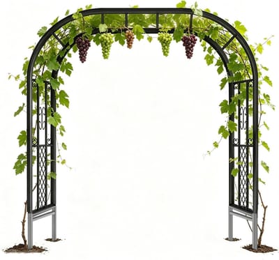 Rozenboog Metaal - Tuinboog Klimrek - Planten Ondersteunen - Extra Stevig Gebouwd - 260cm X 230cm - Zwart