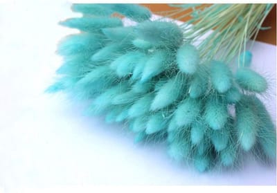Woondecoratie gedroogde bloemen Lagurus Ovatus - Set van 50 stuks - Bloemboeket natuurlijk materiaal - Eeuwige bloem - Blauw - Schietrekwisieten