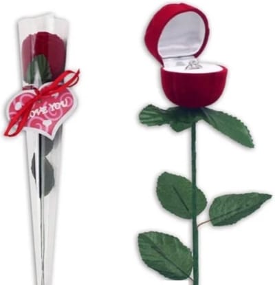Ringdoosje roos incl. GRATIS ring - Valentijn cadeau - aanzoek - verloving - bruiloft - huwelijksaanzoek - liefde - rood - Valentijn - sieradendoos - ring - cadeau