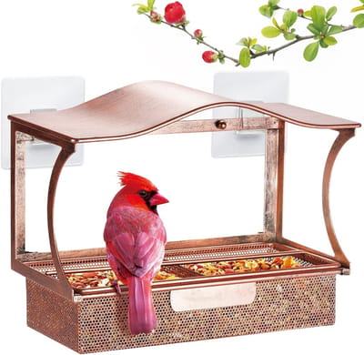 Dutchers® Vogelhuisje voor op het raam - RVS Metaal Raamvogelhuisje - Updrade 2026 versie - Doorzichtig - Met Zuignappen - Weerbestendige Voederplek - Vogelvoederhuisje - Geschenk - Cadeau - Brons