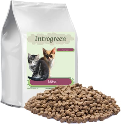 Premium Kittenvoeding – Complete en Gebalanceerde Voeding voor Gezonde Groei van Kittens (4 weken – 1 jaar) 10 kg