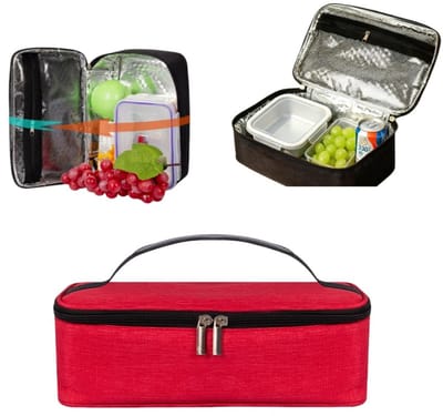 Unisex kleine koeltas — Koelbox voor etenswaren — Thermische voedseltas — Ruime lunchtas — Houdt warm en koud — Opvouwbare minikoeler — Compact en draagbaar — Ideaal voor kantoor, picknicks en meer — 25 x 16 x 8 cm