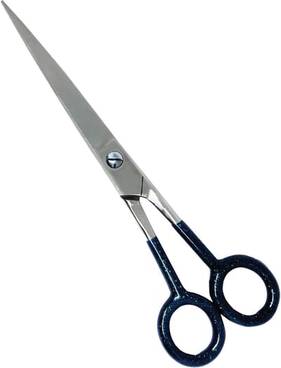 Guardian Beauty Schaar - 7 Inch - Roestvrij Staal - Knipschaar met Etui - Kappersgereedschap