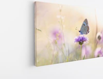 Saammp - Canvas Schilderij - Vlinder op paarse bloem - Dieren - Natuur - 30x20 - Foto op canvas - Wanddecoratie - muurdecoratie Woonkamer - Slaapkamer decoratie - Canvas Print