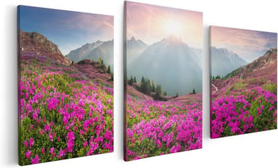 Artaza Canvas Schilderij Drieluik Rhododendron Bloemenveld In De Alpen - 120x60 - Foto Op Canvas - Canvas Print
