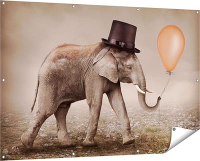 Gards Tuinposter Olifant met een Oranje Ballon - Hoedje - 150x100 cm - Tuindoek - Tuindecoratie - Wanddecoratie buiten - Tuinschilderij