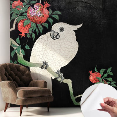 Coloray Zelfklevend Behang - Granaatappelpapegaai Stickerbehang op rol - 250x250 cm - Zwart Zelfklevend Behang - Voor de woonkamer, slaapkamer en kantoor - Herpositioneerbaar - Zelfklevend fotobehang
