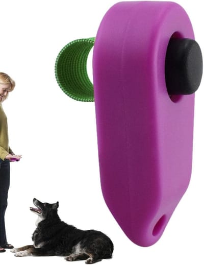 Huisdier Clicker - Trainingsclicker Hond - Huisdieren Trainen - Duidelijke Klik Geluid - 6.5 cm - Zwart