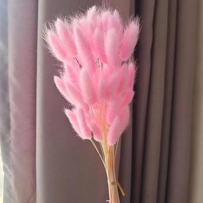 Gedroogde bloemen - Konijnenstaartgras boeket - Woondecoratie - Natuurlijke uitstraling - 60 stuks 40 cm - Roze