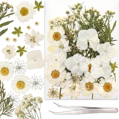Gedroogde Bloemen Set van 37 Stuks voor Epoxyhars, DIY Projecten, Kaarsen en Sieraden Maken - Natuurlijke Decoratie en Scrapbooking