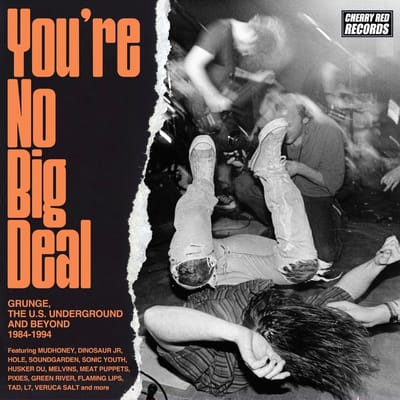 You're No Big Deal (Grunge, The U.S. Underground And Beyond 1984-1994) - V/a (various Artists)