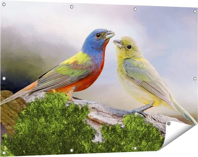 Gards Tuinposter Getekende Gorzen Vogels - Kleur - Abstract - 120x80 cm - Tuindoek - Tuindecoratie - Wanddecoratie buiten - Tuinschilderij