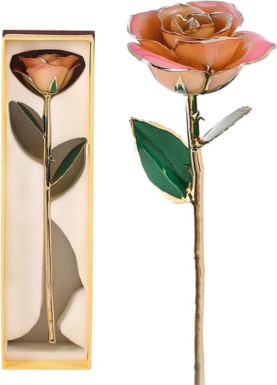 Gouden Roos - Eeuwige Roos Gedoopte Roos - Cadeau Geven - Echte Roos in 24k Goud - 31 cm - Witgoud