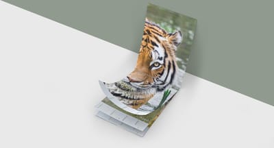 Dierenkalender XL - Verjaardagskalender - De mooiste dierenfoto's op een grote staande kalender!