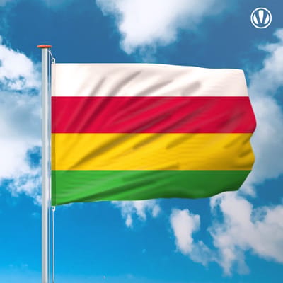 Vlag Dantumadiel 150x225cm