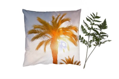 Sierkussens - Kussentjes Woonkamer - 40x40 cm - Palmboom - Zomer - Zon - Tropical