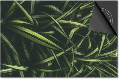 Inductie beschermer 60x60 - afdekplaat inductie mat - Dietrix Kookplaat beschermer - Exclusief - Leaves - 15 Groene sprieten
