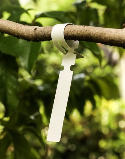 Set van 300 Weerbestendige Tuinplant Labels van 21x2cm - Verstelbare Plastic Labels voor Buitengebruik, Wit