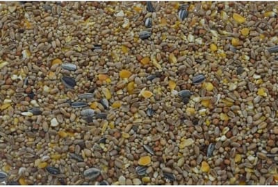Tweetfeed Strooivoer 1KG