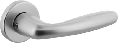 Intersteel Deurkruk Sigaar met ronde rozet ø50x7 mm aluminium