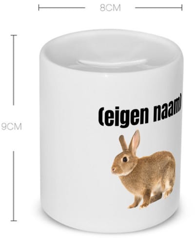 Akyol - konijn met eigen naam Spaarpot - Konijn - konijnen liefhebbers - iemand die houdt van konijnen - verjaardag - cadeau - kado - 350 ML inhoud