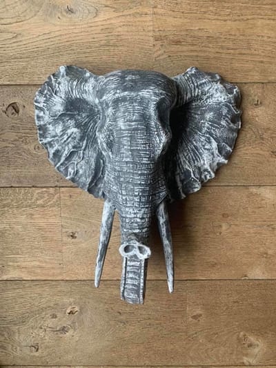 Olifant grijs